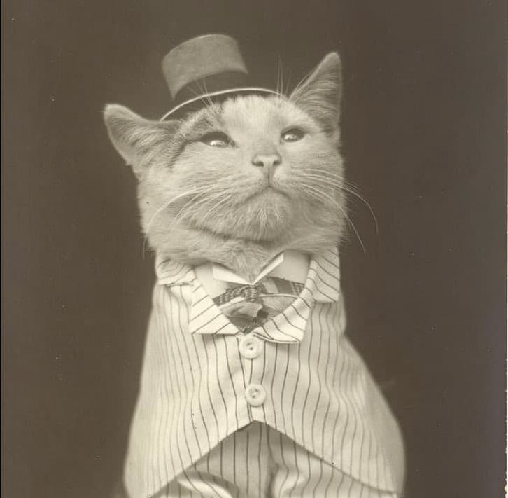 The official ARISTOCAT mascot — a vintage portrait of a cat in a top hat and bow tie